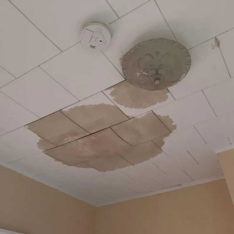 Ceiling Water Damage Repair in Fremont, NE